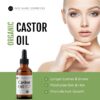 Kate Blanc Cosmetics Castor Oil Organic (2oz), 100% Pure, Cold Pressed, Hexane Free. Stimulate Growth for Hair, Eyelashes, Eyebrows. Hair Treatment Starter Kit & Skin Moisturizer - Image 4