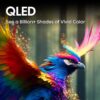 Hisense 65-Inch Class QD7 Series QLED 4K UHD Google Smart TV (65QD7N, 2024 Model) - QLED, Native 144Hz, Motion Rate 240, Direct Full Array, Game Mode Pro, Alexa Compatibility - Image 6